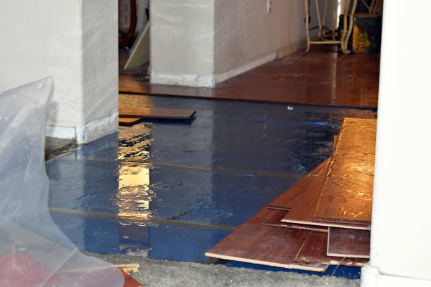 Professional Water Damage Restoration technician working in Beaverton, MI